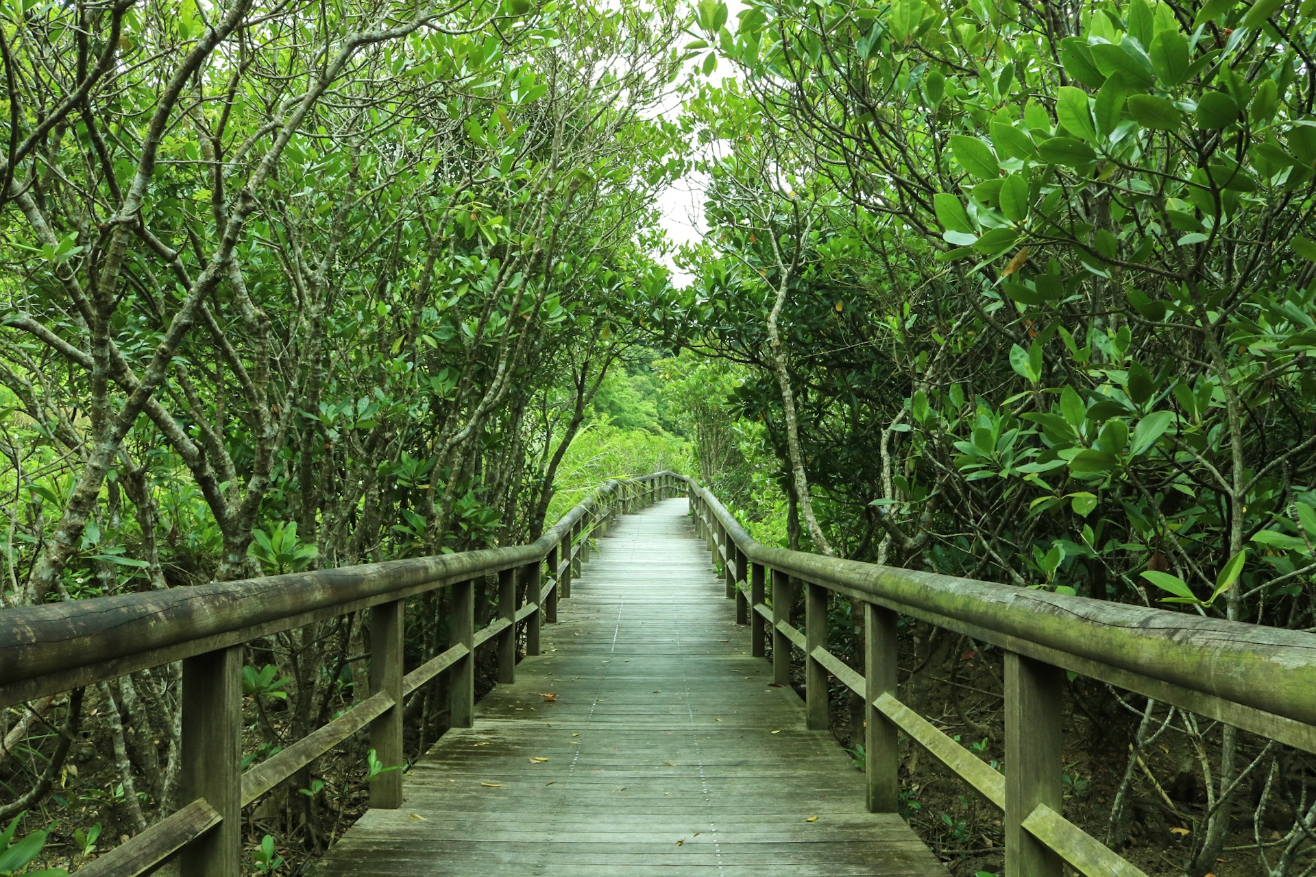 3月イベント情報