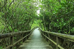 3月イベント情報