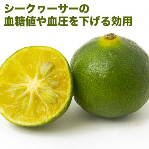 シークヮーサー