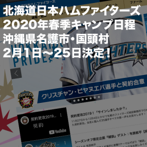 北海道日本ハムファイターズ