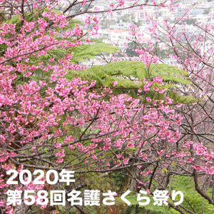 2020年名護さくらまつり
