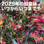 2025年の旧盆はいつからいつまで？