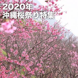 2020年沖縄桜祭り特集